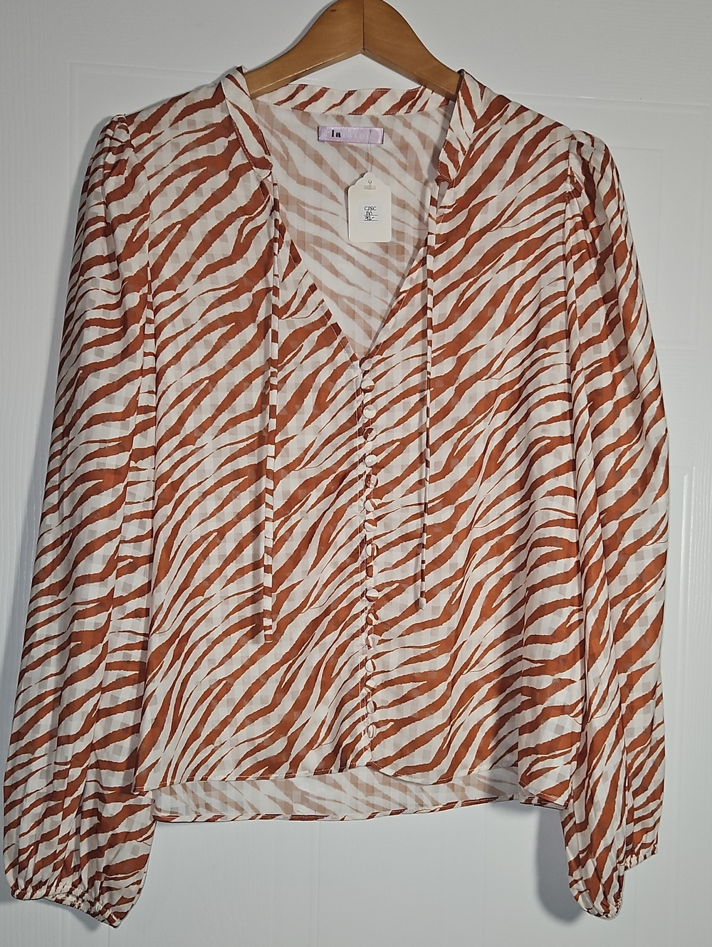 Zebra-Stripe V-Neck Blouse in Rust and Cream